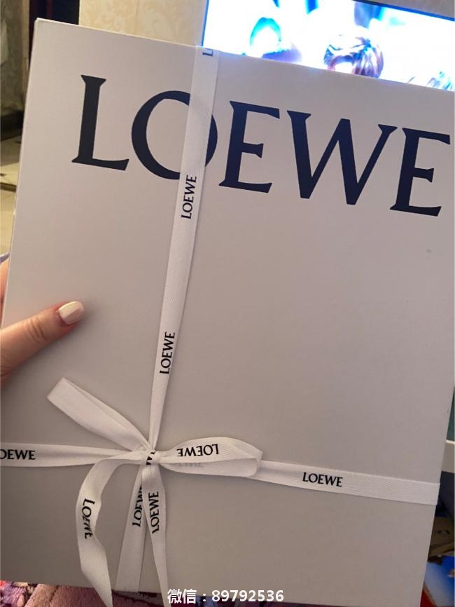 Loewe puzzle 小号