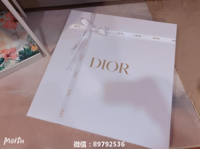 Dior|Book tote灰色丛林刺绣小号
