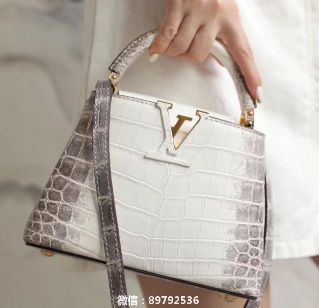 Louis Vuitton鳄鱼包包