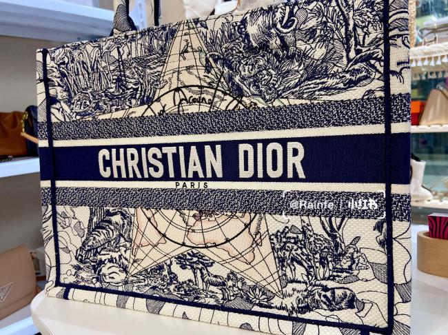 Dior book tote迪奥环球之旅星星托特包