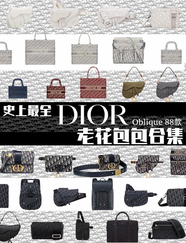 超全色系88款Dior Oblique老花包包合集