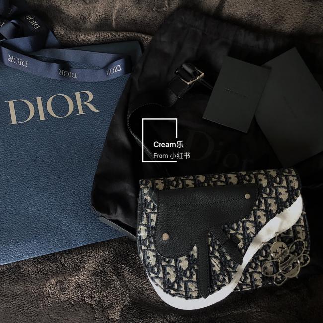 Dior Oblique saddle 老花马鞍包