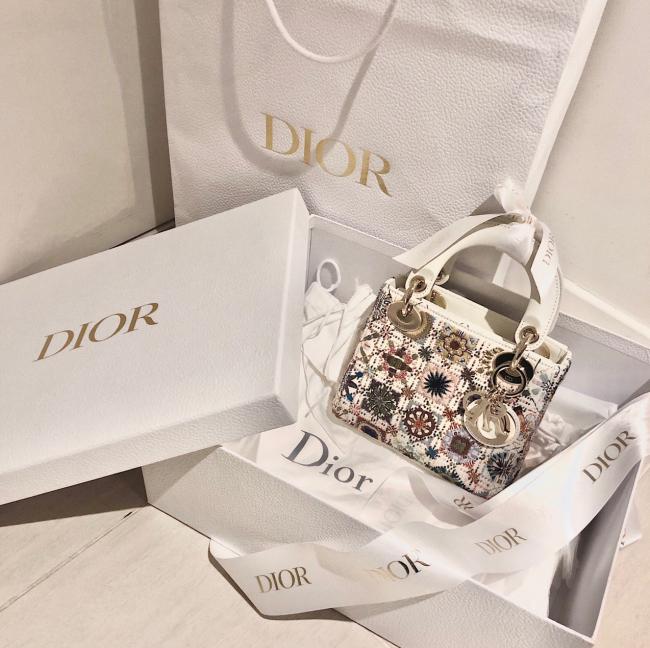 Dior迪奥Lady Dior2019新款刺绣包（季度款）