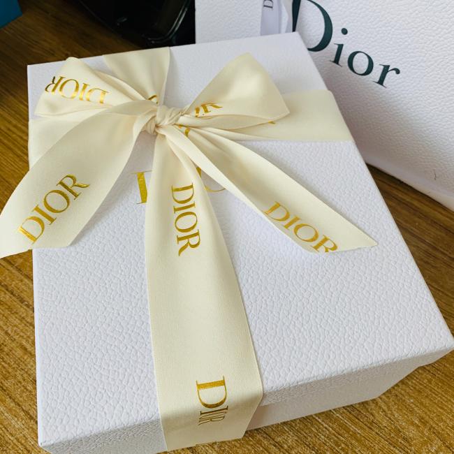 迪奥Dior枕头包Oblique Roller