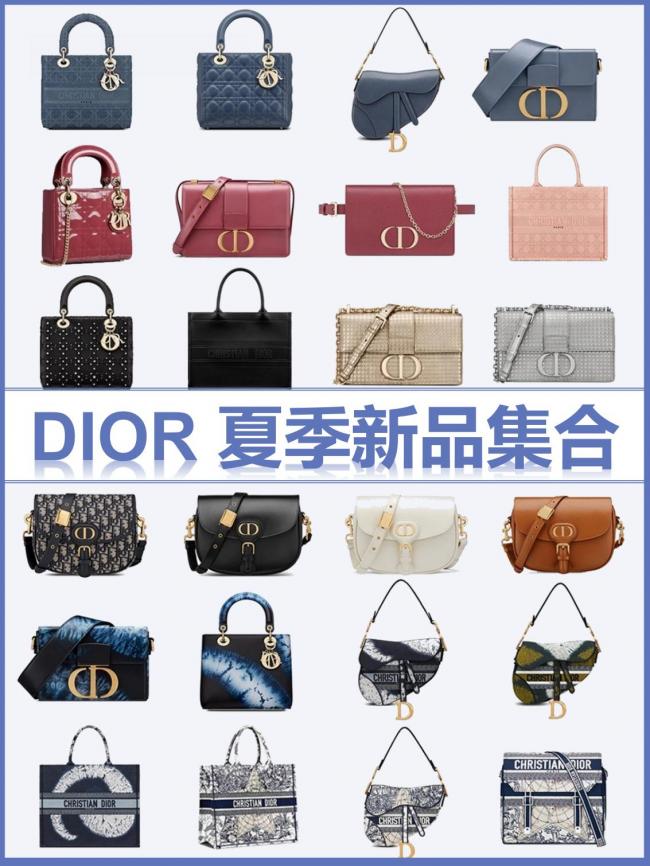 020迪奥Dior包包上新了"