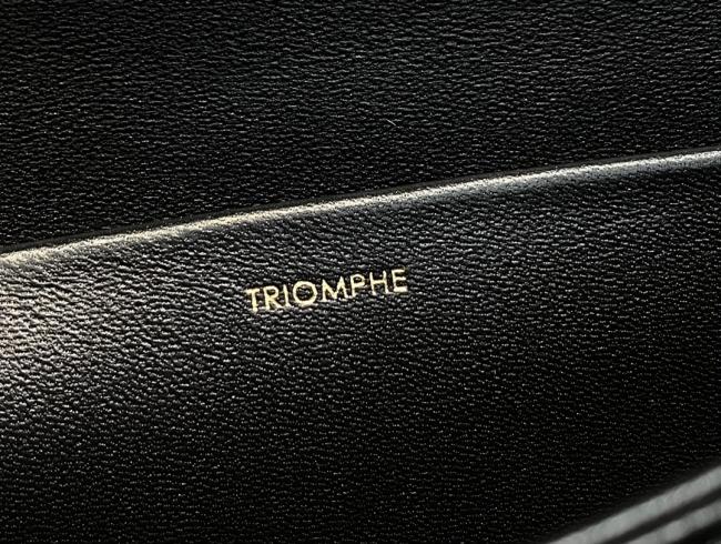 CD Triomphe 凯旋包，HEDI设计师打造的新品系列